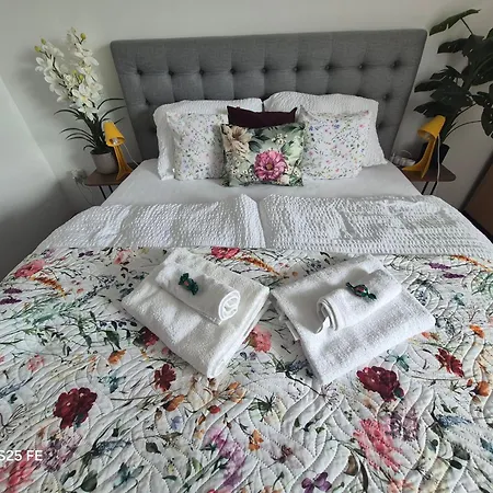 公寓 Zafir Luxory *
